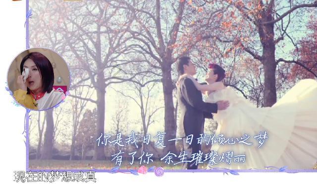 大象带娃也“抓狂”?莫要忽视野生动物的情绪价值